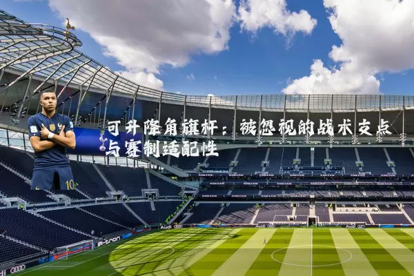 可升降角旗杆：被忽视的战术支点与赛制适配性