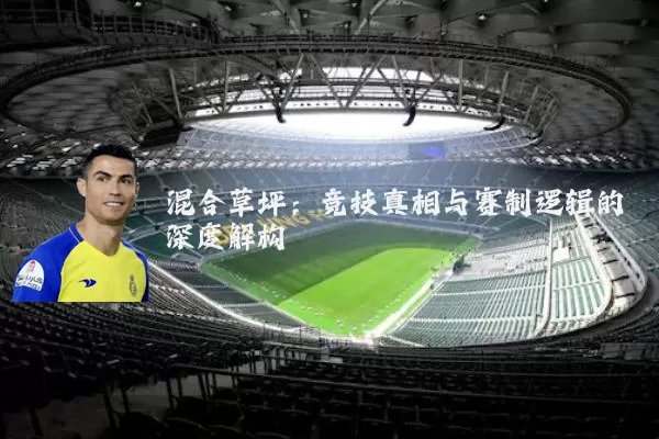混合草坪：竞技真相与赛制逻辑的深度解构